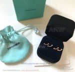 AAA Tiffany And Co T Smile Earrings - 925 Silver